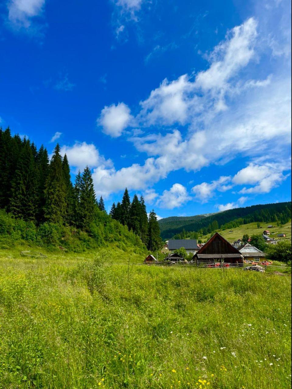 Girskiy Prutets บูโคเวล ภายนอก รูปภาพ